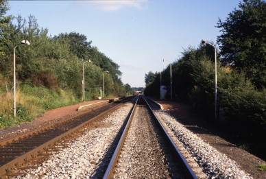 Pin - TH 84-11558.jpg